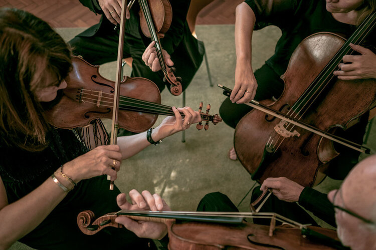 Members of Fitzwilliam Quartet